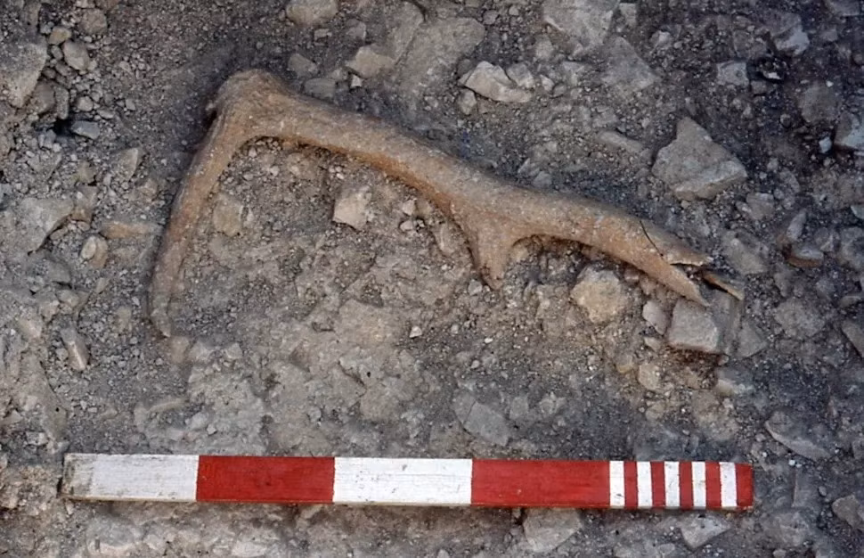 Cụ thể, các nhà nghiên cứu đã xác định tuổi của di chỉ Flagstones bằng phương pháp cacbon phóng xạ. Theo đó, họ xác định Flagstones có niên đại vào khoảng năm 3200 trước Công nguyên. Ảnh: Courtesy of the Dorset Museum.