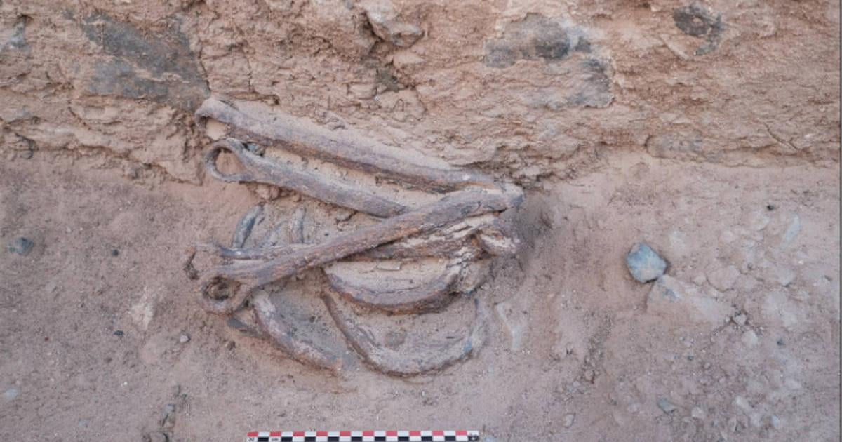  Ai Cập cổ đại khai thác vàng tại nhiều mỏ ở sa mạc phía Đông. Hoạt động khai thác vàng tăng mạnh trong thời kỳ Vương quốc mới (khoảng năm 1500 trước Công nguyên đến năm 1000 trước Công nguyên) và trong thời kỳ Hy Lạp hóa, sau cuộc chinh phục Ai Cập của Alexander Đại đế vào năm 332 trước Công nguyên. Ảnh: Ancient-origins.