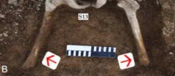 Cụ thể, ngôi mộ tập thể chứa hài cốt của ít nhất 17 người. Tình trạng thi hài không nguyên vẹn cho thấy những binh sĩ nhà Hán đã có cái chết rùng rợn. Ảnh: Kovalev, et. al/Journal of Archaeological Science.