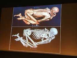 Một số nhà nghiên cứu cho rằng, những sợi tóc màu đỏ của Gebelein Man có thể đến từ henna - một thành phần sử dụng trong quá trình ướp xác. Đây là loại thuốc nhuộm có nguồn gốc từ thực vật. Người Ai Cập thời cổ đại, bao gồm cả pharaoh như Ramses II thường xuyên nhuộm tóc bằng henna để phủ lên mái tóc trắng. Ảnh: X.