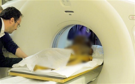 Một số xác ướp được người xưa sử dụng henna trong quá trình ướp xác nên móng tay, thậm chí mái tóc cũng có màu đỏ. Từ đây, các chuyên gia cho rằng, dường như tóc của Gebelein Man cũng đến từ henna trong quá trình ướp xác. Ảnh: telegraph.