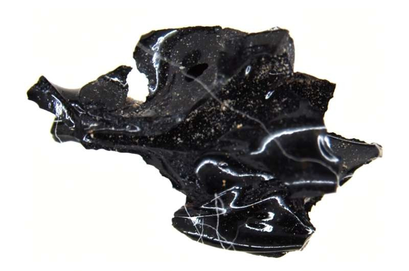 Đám mây tro ban đầu chứa rất ít vật liệu núi lửa và dường như có ít tác động tự nhiên. Thế nhưng, chúng vẫn có thể gây chết người do nhiệt độ siêu nóng. Ảnh: phys.