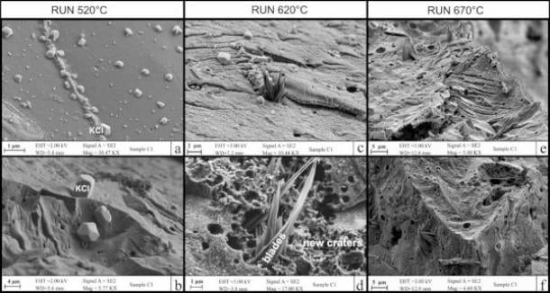 Nghiên cứu mới cung cấp thêm bằng chứng cho thấy có dấu tích tế bào não cho thấy vật liệu này là mô não bị thủy tinh hóa. Giả thuyết mới được củng cố khi các chuyên gia nghiên cứu mảnh vụn than củi tìm thấy gần xác người đàn ông được tìm thấy ở Herculaneum. Ảnh: Giordano, G et al./Science.