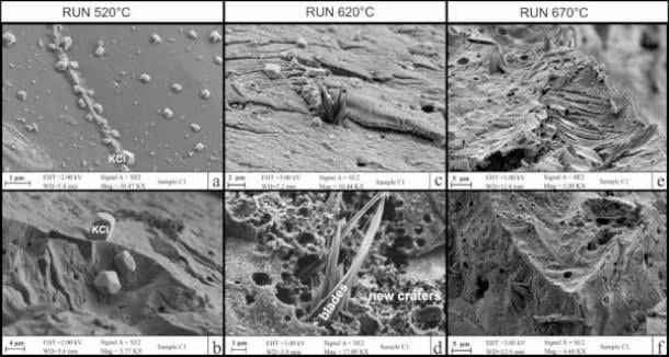 Nghiên cứu mới cung cấp thêm bằng chứng cho thấy có dấu tích tế bào não cho thấy vật liệu này là mô não bị thủy tinh hóa. Giả thuyết mới được củng cố khi các chuyên gia nghiên cứu mảnh vụn than củi tìm thấy gần xác người đàn ông được tìm thấy ở Herculaneum. Ảnh: Giordano, G et al./Science.