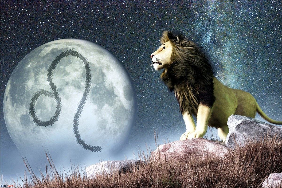  Sư Tử - Leo (23/07 - 22/08): Những người thuộc chòm sao Sư Tử khá nhạy cảm, dễ bị tổn thương nhưng họ lại tỏ ra chẳng hề hấn gì. Với họ có những chuyện không nhất thiết phải rơi lệ trước mặt người khác, cũng ghét bị người khác nhìn thấy nước mắt của mình, rồi sẽ mất đi hình tượng bản thân Sư Tử đã gây dựng bấy lâu. 