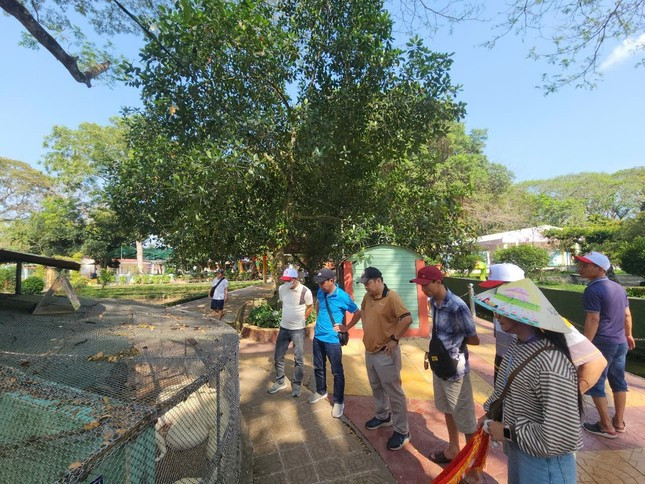 Theo Đại úy Lương Minh Hải, Đội phó Đội nuôi trồng dược liệu của Trại rắn Đồng Tâm, vào thời điểm tiếp nhận, cá thể trăn bạch tạng quý hiếm có sức khỏe tốt. Nó nhanh chóng thích nghi với môi trường sống mới. Ảnh: Tiền phong.