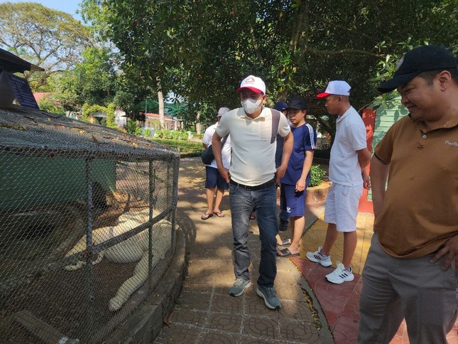 Trăn bạch tạng có tên khoa học là Python bivittatus. Loài này thuộc nhóm IIB trong danh mục động vật rừng nguy cấp quý hiếm. Ảnh: Tiền phong.