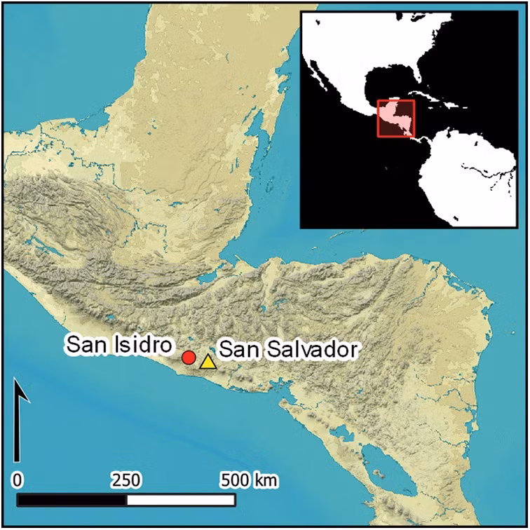 "Một trong những đặc điểm nổi bật nhất của 5 bức tượng là biểu cảm gương mặt đầy thú vị, thay đổi tùy vào góc nhìn của chúng ta", tác giả chính của nghiên cứu Jan Szymański - nhà khảo cổ học tại Đại học Warsaw, cho biết. Ảnh: J. Przedwojewska-SzymaÅska/PASI; Antiquity Publications Ltd.