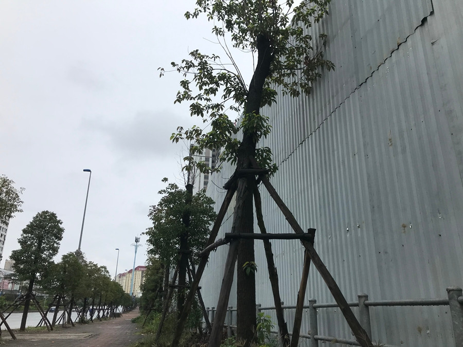 Ghi nhận thực tế của PV Kiến Thức ngày 4/3/2020, bên ngoài dự án The Lotus Center vẫn được quây tôn kín mít, cao trên 3m. “Hiện chủ đầu tư vẫn chưa triển khai bất kỳ điều gì cả, chỉ là công tác chuẩn bị. Họ cũng mới chỉ rào lại lô đất TM01 và đang hoàn thiện thủ tục pháp lý...”, - ông Trần Việt Hùng cán bộ Quản lý TTXD phường Phú Thượng nói với PV Kiến Thức.