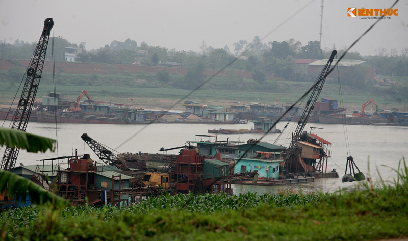 Đáng chú ý là ở gần khu vực khai thác cát của Công ty CP Thái Sơn E&amp;C (ở xã Bình Phú) đã và đang xuất hiện nhiều điểm sạt lở nghiêm trọng với chiều cao khoảng 4m so với mực nước sông, chạy dài hàng trăm mét và ăn sâu vào những cánh đồng trồng ngô của người dân.