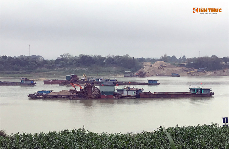 Mặc dù khai thác cát rầm rộ, nhưng hầu hết các tàu thuyền ở đây đều không thấy ghi biển số, nhãn hiệu rõ ràng.