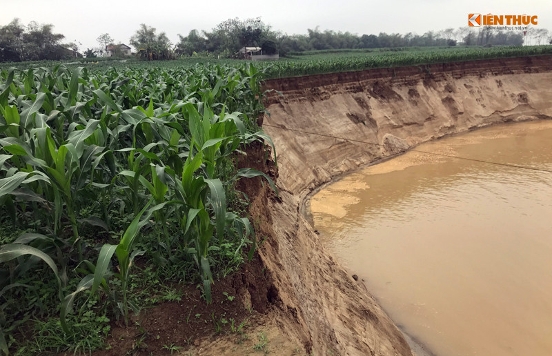 Những vết sạt lở kéo dài "ăn" sâu vào phía bên trong bờ sông Lô và chưa có dấu hiệu dừng lại.