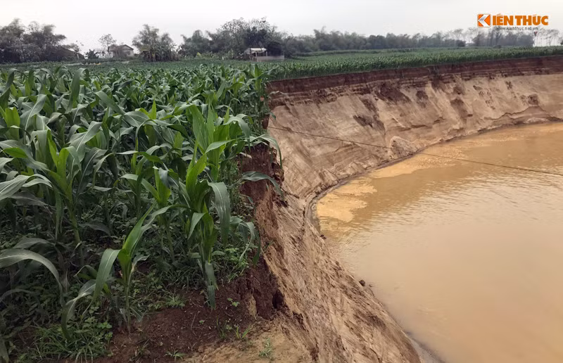 Những vết sạt lở kéo dài "ăn" sâu vào phía bên trong bờ sông Lô và chưa có dấu hiệu dừng lại.