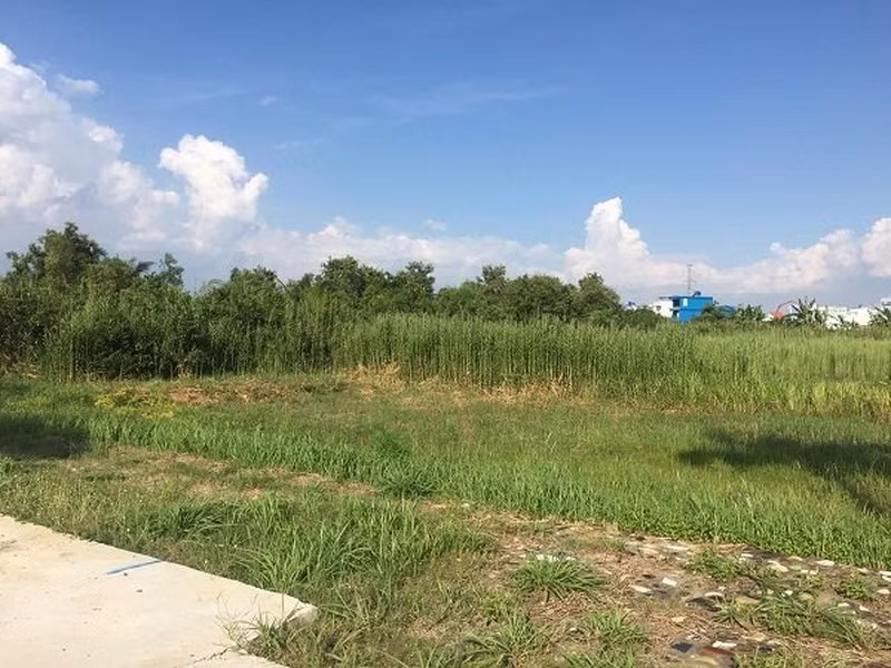 Cong ty Phi Long “ve banh” o Binh Chanh lua dao nha dau tu the nao?-Hinh-2