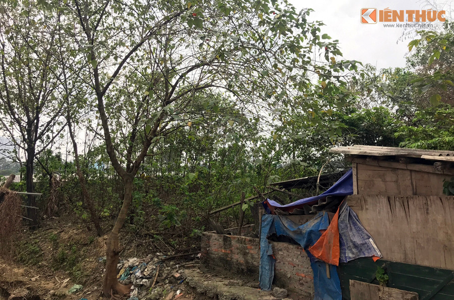 Du an The Jade Orchid chi la bai dat trong nhung van duoc rao ban ram ro?-Hinh-16