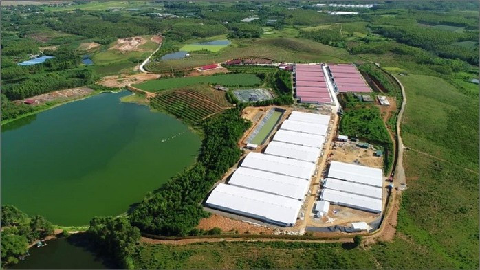 Cong ty Dabaco vi pham moi truong, bi phat 300 trieu... kinh doanh gi?