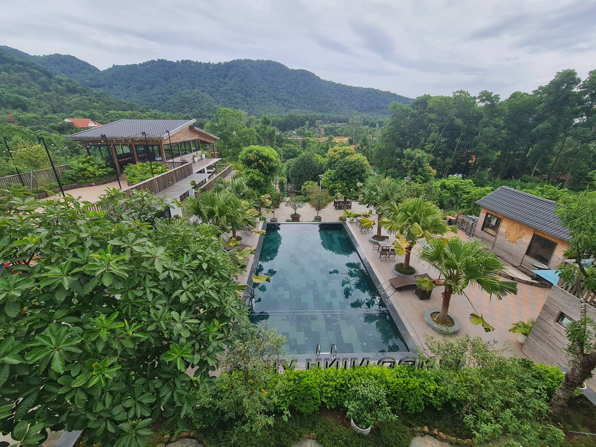 Soc Son: Loat villas, homestay pha rung phong ho... Co quan dia phuong tu choi lam viec?