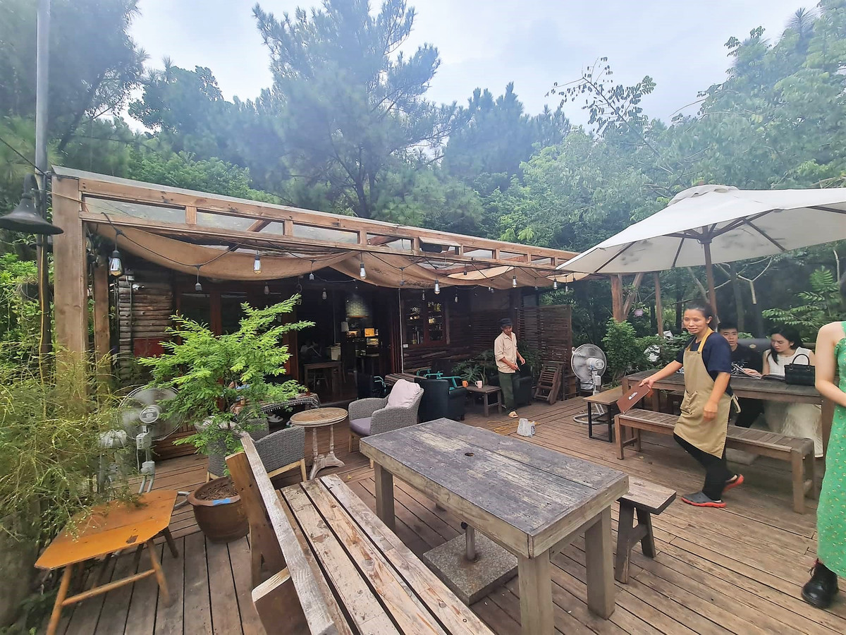 Soc Son: Loat villas, homestay pha rung phong ho... Co quan dia phuong tu choi lam viec?-Hinh-3