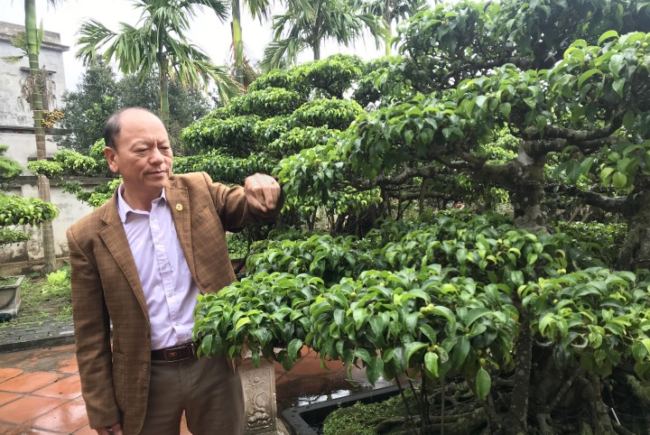 Bach hai duong dat nhu vang: Chi la chieu tro thoi gia trang tron-Hinh-2