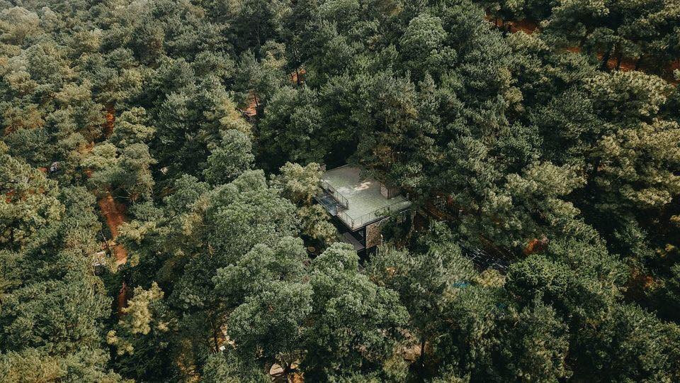 The Choai Villa Soc Son 