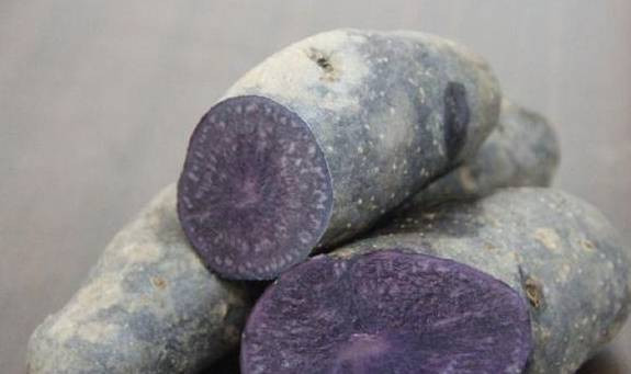 Loai cu co dinh duong tuong duong 20 qua tao, 50 qua ca chua-Hinh-3