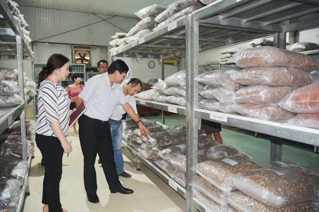 Thu hồi thuốc cổ truyền Ngưu Tất: Đông Y dược Thăng Long bao lần bị “tuýt còi“? - Hình 2 Thu hoi thuoc co truyen Nguu Tat: Dong Y duoc Thang Long bao lan bi “tuyt coi“?-Hinh-2