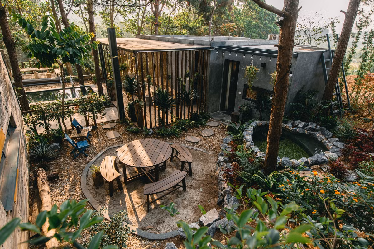 Soc Son: U Lesa Retreat kinh doanh tu “mau thit” rung phong ho?-Hinh-3