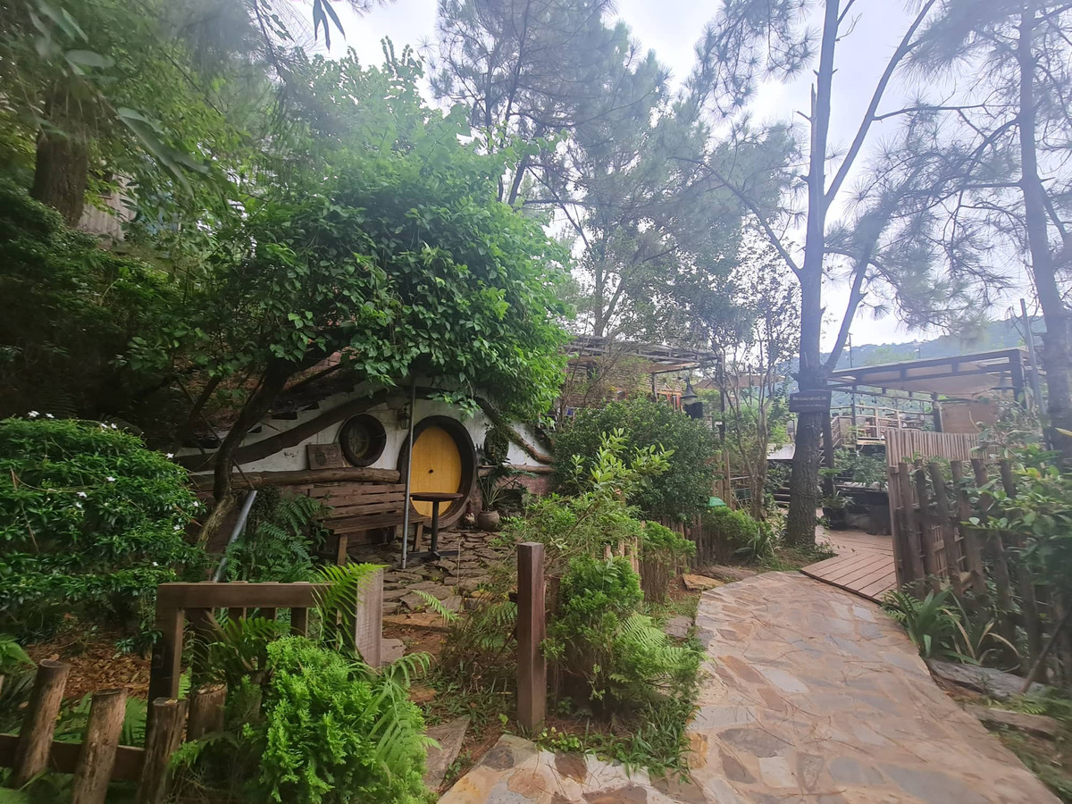 Soc Son: U Lesa Retreat kinh doanh tu “mau thit” rung phong ho?-Hinh-2