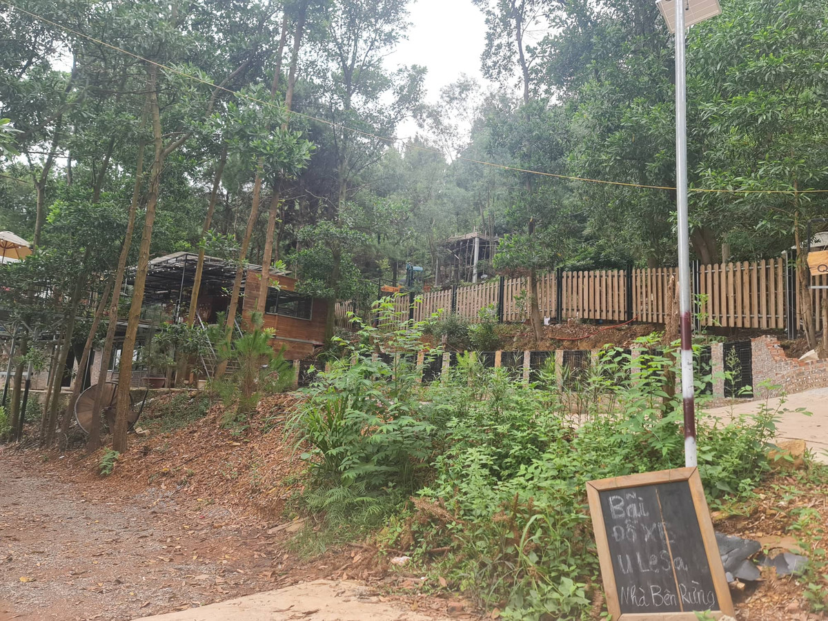 Soc Son: U Lesa Retreat kinh doanh tu “mau thit” rung phong ho?-Hinh-4