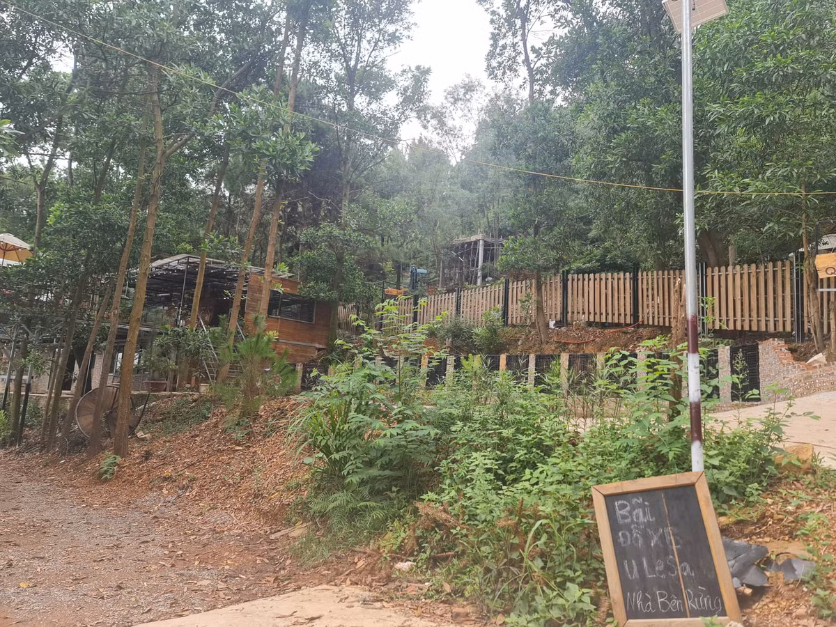 Soc Son: U Lesa Retreat kinh doanh tu “mau thit” rung phong ho?-Hinh-4