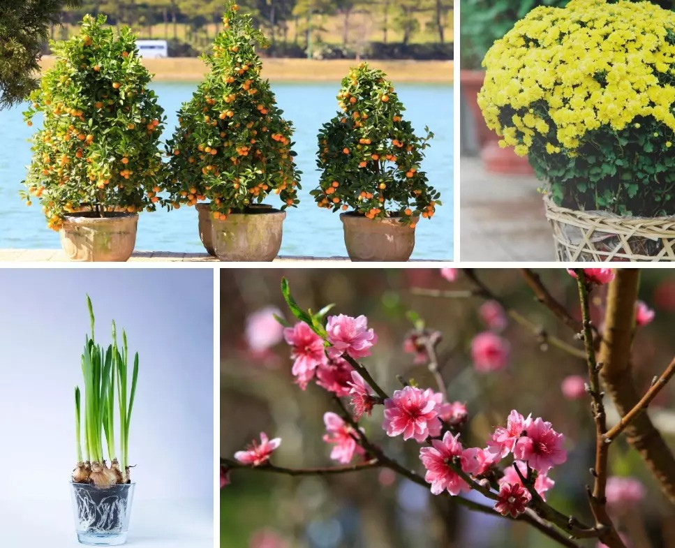 Vi sao goi la thang Chap - thang ban ron, nhieu kieng ky nhat nam?-Hinh-3