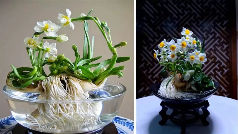 Vi sao goi la thang Chap - thang ban ron, nhieu kieng ky nhat nam?-Hinh-2