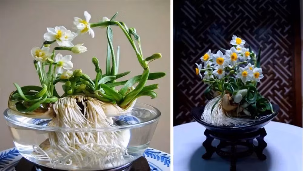 Vi sao goi la thang Chap - thang ban ron, nhieu kieng ky nhat nam?-Hinh-2