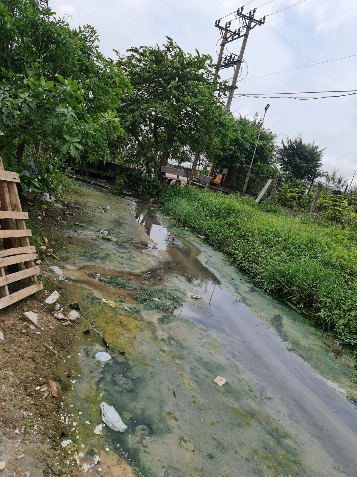 Nam Dinh: Hoang phi tram xu ly nuoc thai gan 90 ty dong tai lang nghe Binh Yen?-Hinh-5