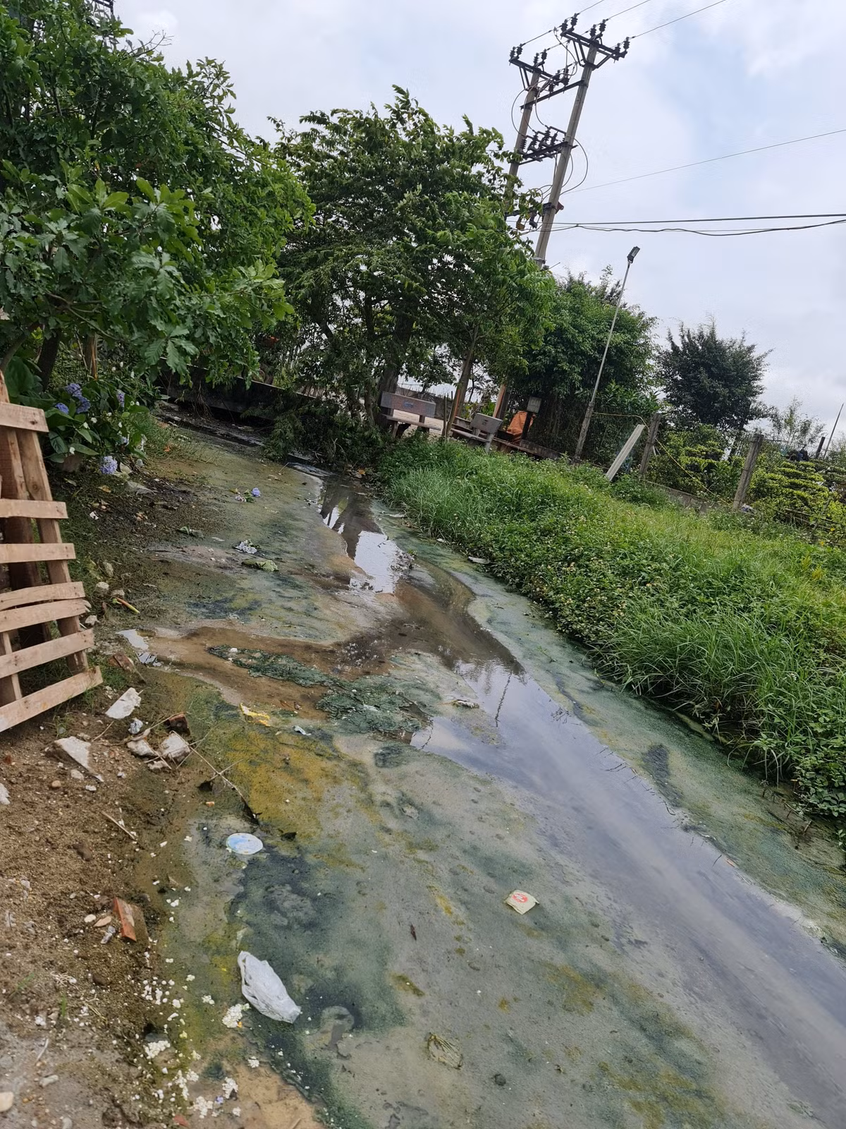 Nam Dinh: Hoang phi tram xu ly nuoc thai gan 90 ty dong tai lang nghe Binh Yen?-Hinh-5