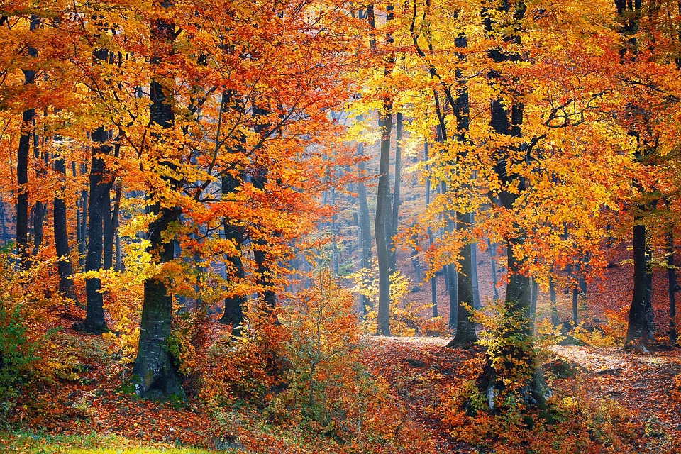 Ai sinh ngay Am lich nay no luc duoc den dap, tuong lai ruc ro-Hinh-4