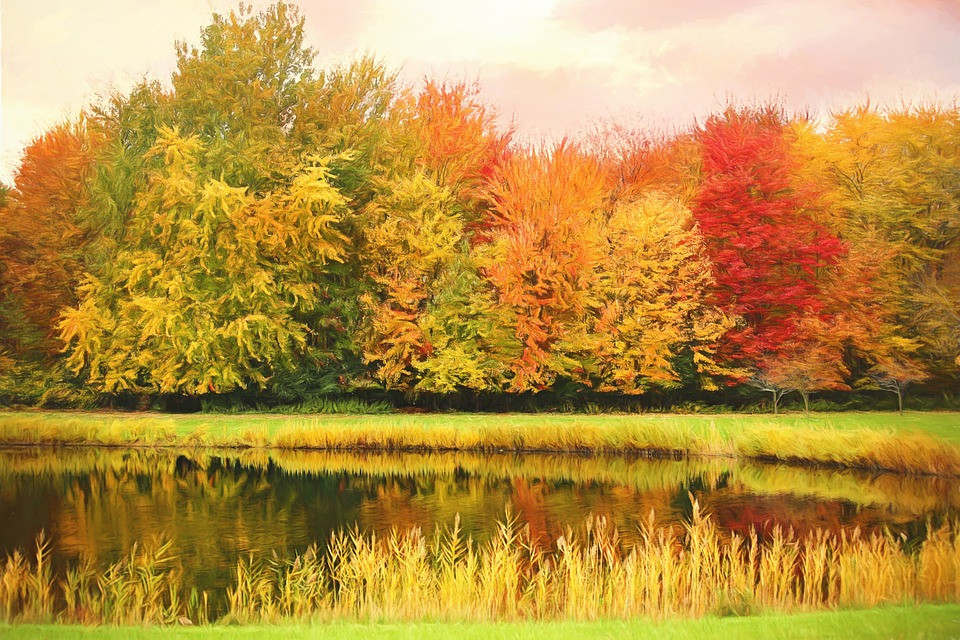 Ai sinh ngày Âm lịch này nỗ lực được đền đáp, tương lai rực rỡ Ai sinh ngay Am lich nay no luc duoc den dap, tuong lai ruc ro