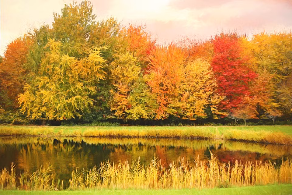 Ai sinh ngay Am lich nay no luc duoc den dap, tuong lai ruc ro