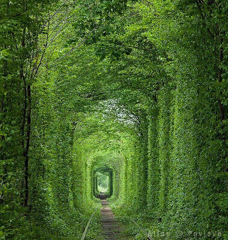 Vào thời gian ấy, người ta trồng cây dọc theo tuyến đường để che giấu hoạt động vận tải quân sự. Sau khi xây dựng đường ray xe lửa, những bụi cây sau đó mọc tự nhiên bao quanh lấy con đường, trùm cả phía trên, khiến người đi cảm giác như đang đi trong một con đường hầm ngay trên mặt đất. 