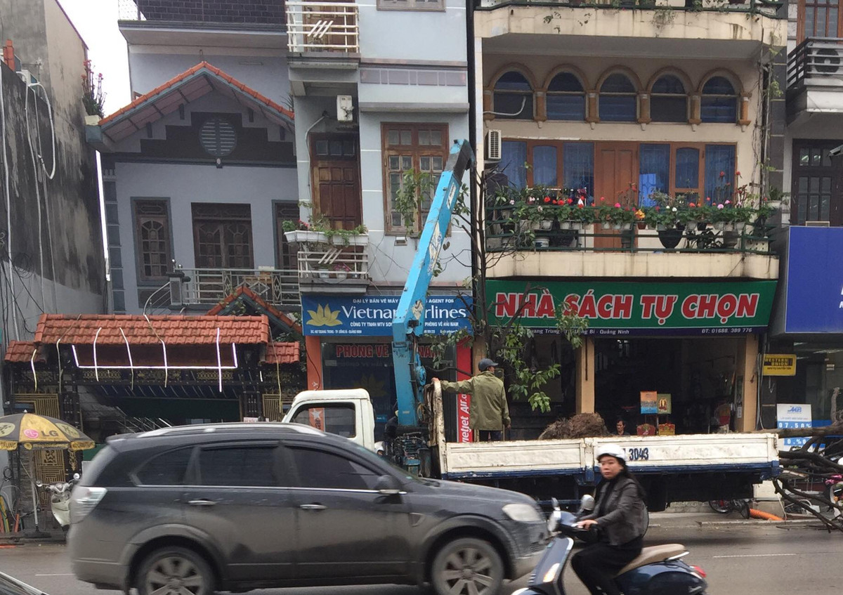 Theo UBND TP Uông Bí, dự án “Chỉnh trang tuyến phố đường Quang Trung từ cầu sông Sinh đến sông Uông tại phường Quang Trung” có chiều dài toàn tuyến là 2,368km với tổng kinh phí 79.871.643.000 đồng gồm các hạng mục: hạ ngầm đường dây trung áp, đường dây hạ áp; thi công tuyến điện chiếu sáng độc lập; thi công các hạng mục giao thông, cây xanh, thoát nước.