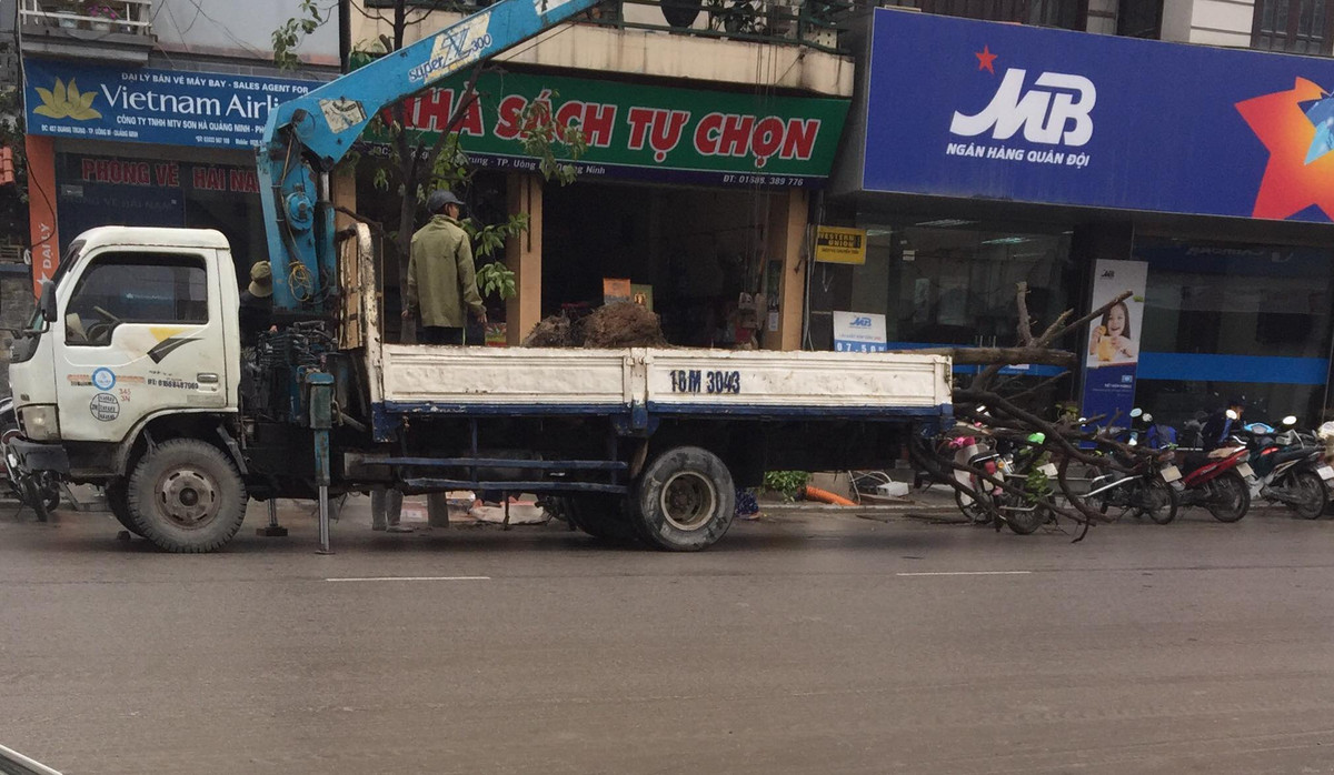 Theo UBND TP Uông Bí, dự án trên sẽ cải tạo một phần vỉa hè làm không gian dành riêng cho người đi bộ, phần còn lại của vỉa hè được cải tạo thành mặt bằng làm vị trí cho các phương tiện giao thông dừng, đỗ. Phần vỉa hè dành cho người đi bộ được thay thế lát gạch terrazzo, viên bó vỉa bằng đá xẻ. Cũng tại vị trí quy hoạch điểm dừng đỗ xe này thực hiện trồng cây xanh tạo cảnh quan, bóng mát. Chiều rộng lòng đường được giữ nguyên hiện trạng, không thay đổi so với lòng đường trước đây.