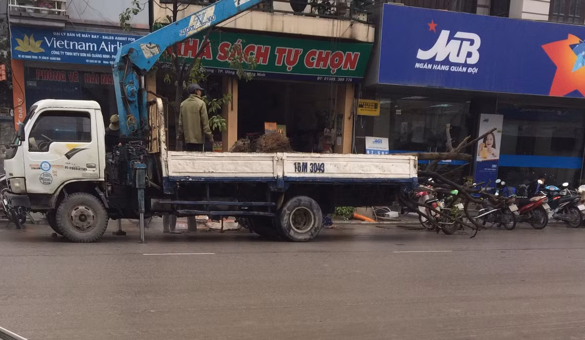 Theo UBND TP Uông Bí, dự án trên sẽ cải tạo một phần vỉa hè làm không gian dành riêng cho người đi bộ, phần còn lại của vỉa hè được cải tạo thành mặt bằng làm vị trí cho các phương tiện giao thông dừng, đỗ. Phần vỉa hè dành cho người đi bộ được thay thế lát gạch terrazzo, viên bó vỉa bằng đá xẻ. Cũng tại vị trí quy hoạch điểm dừng đỗ xe này thực hiện trồng cây xanh tạo cảnh quan, bóng mát. Chiều rộng lòng đường được giữ nguyên hiện trạng, không thay đổi so với lòng đường trước đây.