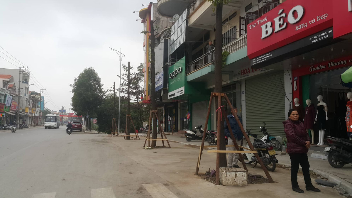 Thậm chí khu vực tránh xe cũng đã được trồng cây ngay dưới lòng đường.