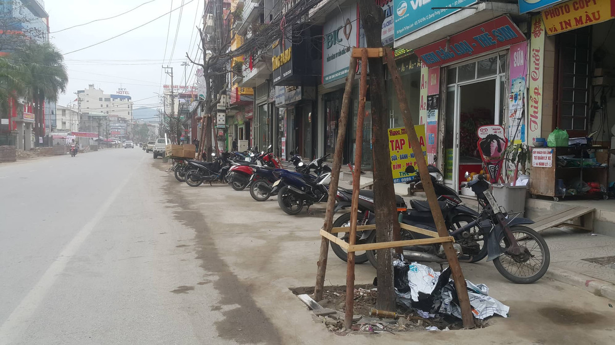 Một người dân cho biết: “Không hiểu hàng cây đô thị để tạo cảnh quan được trồng ngày sát lòng đường để làm gì, dù tạo không gian dừng đỗ xe nhưng việc trồng cây dưới lòng đường không tạo cảnh quan đẹp mà còn tiềm ẩn nguy cơ mất an toàn giao thông, khiến người dân lo lắng”.