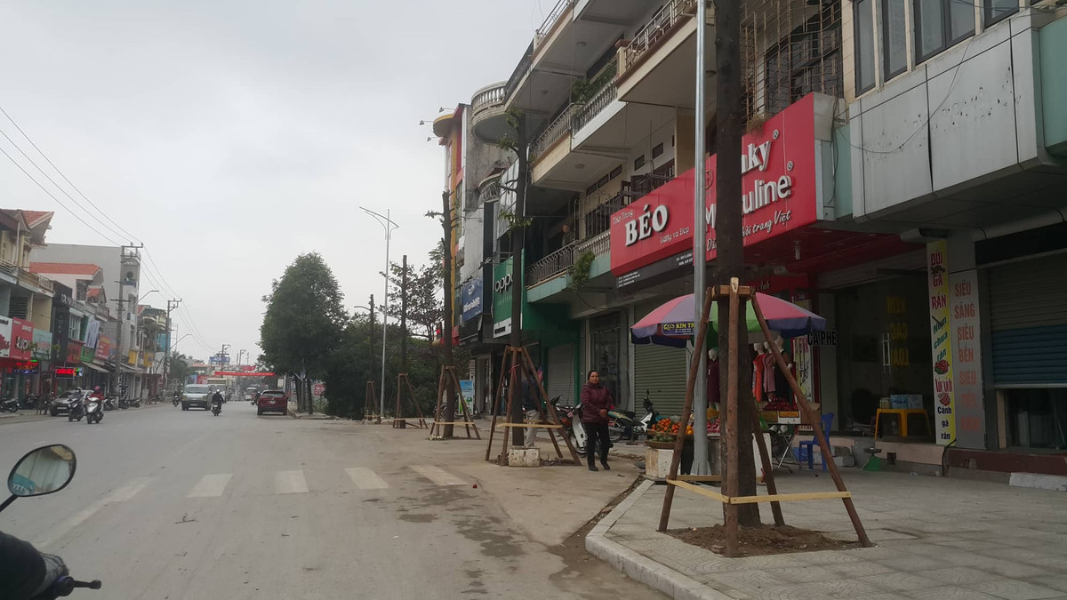 Hiếm hoi lắm mới có một cây xanh được trồng trên vỉa hè.