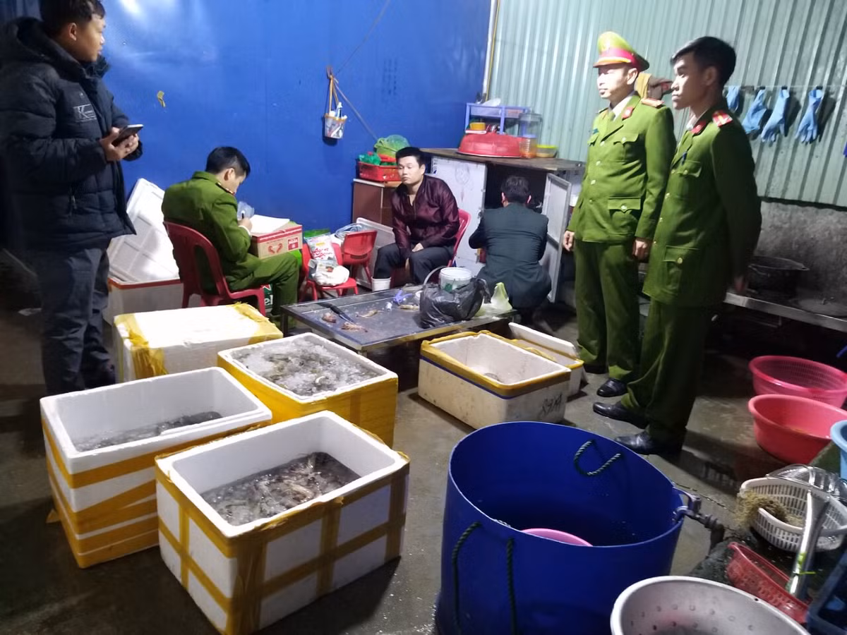 Cong an Hai Phong thong tin vu bom tap chat vao tom