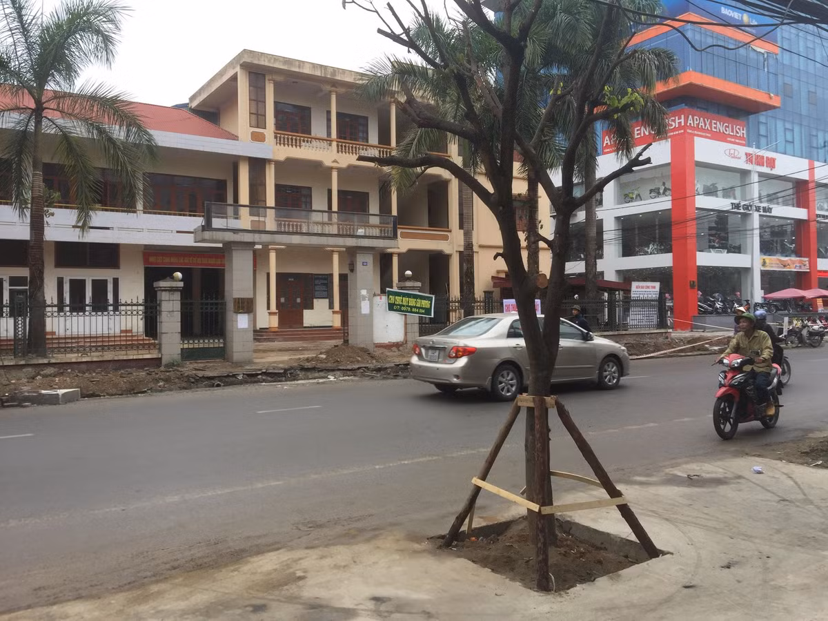 Để làm rõ thông tin về việc trồng cây xanh đô thị trên phố Quang Trung, chiều 3/1, PV Kiến Thức đã liên hệ với Chủ tịch UBND TP Uông Bí - Nguyễn Mạnh Hà. Ông Hà cho biết PV liên hệ với Văn phòng Ủy ban. Tuy nhiên khi đến đặt lịch, một nhân viên văn thư cho biết, lãnh đạo Văn phòng không có ở cơ quan và sẽ báo cáo lại rồi thông tin đến PV sau.