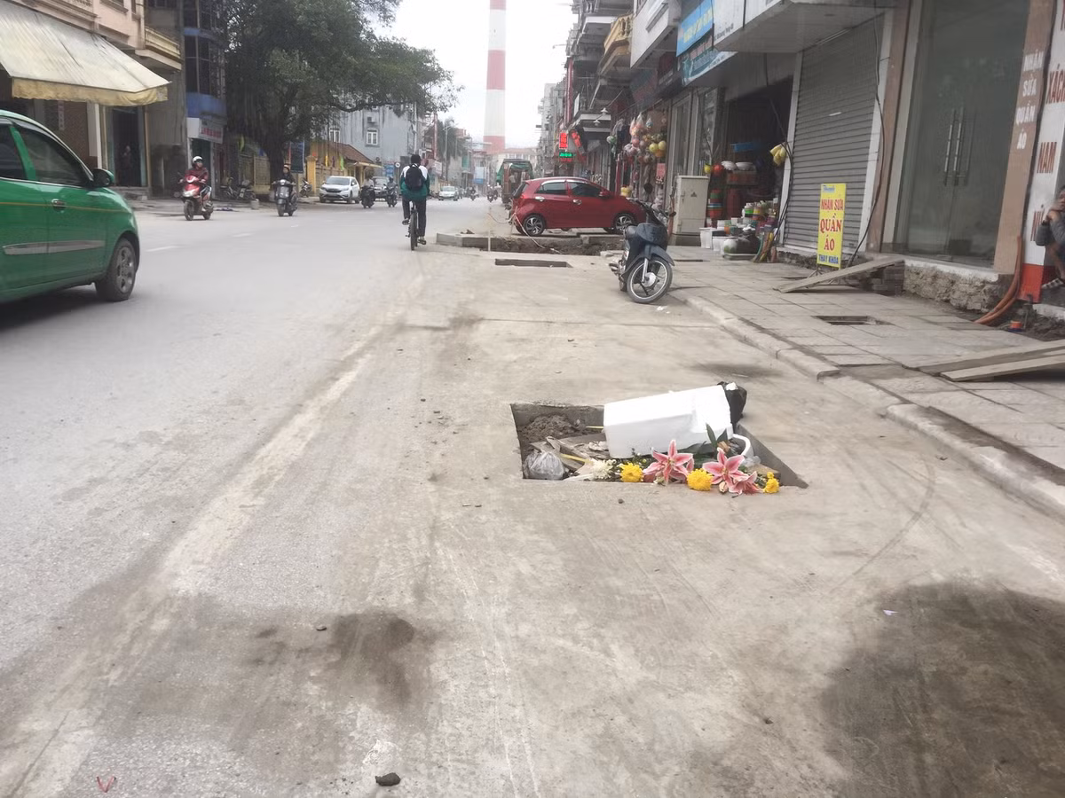 Hố trồng cây trở thành... thùng rác.