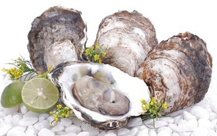 Hàu: Hàu rất có nguồn khoáng chất dồi dào, đặc biệt là kẽm – một vi chất tuyệt vời để tăng cường hệ miễn dịch. Kẽm chứa một số thành phần kháng virus, rất cần thiết khi bạn cố gắng để chống lại bệnh tật.