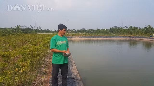 Nam Dinh: Da mat ngam dan ca vang nhu nghe, thu tram trieu/nam-Hinh-3